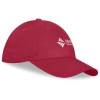 Detroit 6 Panel Cap
